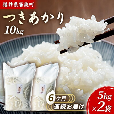 【ふるさと納税】6ケ月連続 福井県若狭町 つきあかり （一等米） 10kg（5kg×2）（神谷農園） お米 ブランド米 銘柄米 ご飯 おにぎり お弁当 産地直送 和食 主食 　お届け：2025年10月より順次出荷致します。