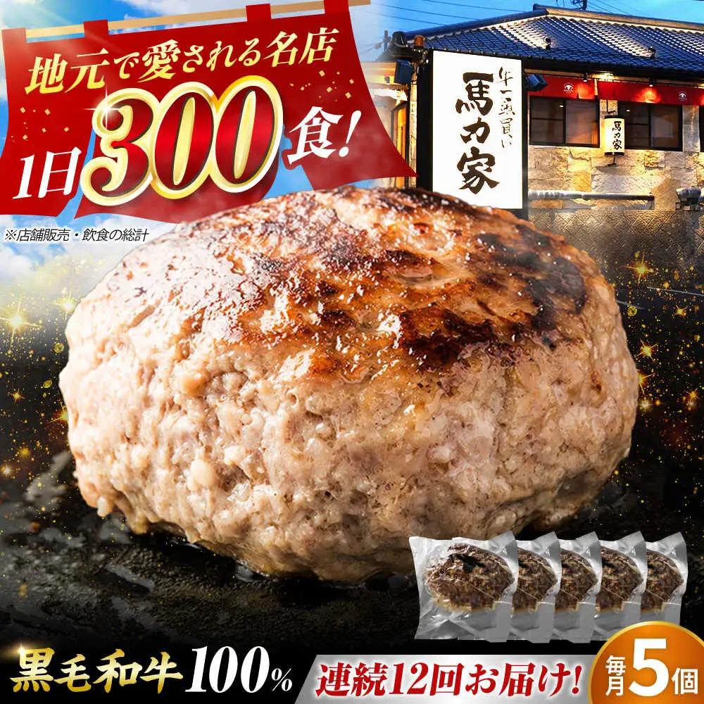 【12回定期便】超ハンバーグ ミニ 5個[AVBO068]飛騨牛 定期便