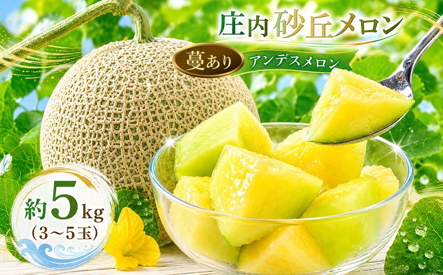 
                  【令和9年産先行予約】菅原農園の庄内砂丘メロン 約5kg(3～5玉) アンデスメロン 蔓あり【7月下旬～8月上旬】 K-935 鶴岡地区物産協同組合 | ギフト 夏 旬 フルーツ 夏ギフト お中元 甘い 果物 青肉 特産品 名産品 贈答 産地直送 農園直送
                