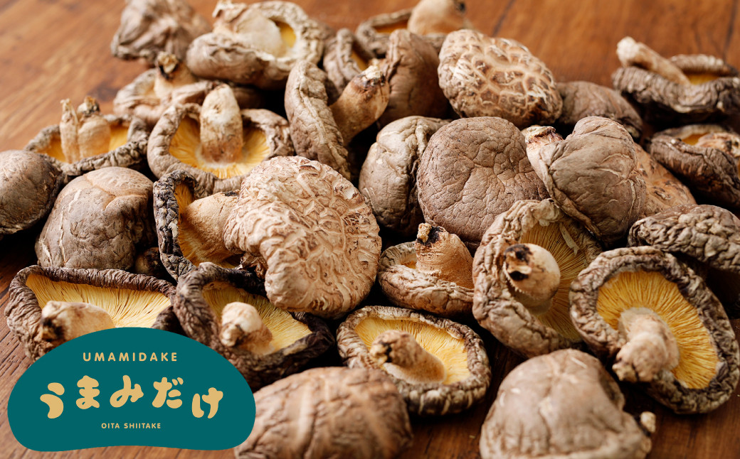 山盛りどんこ400g 山盛り大葉しいたけ400g 山盛り不揃いしいたけ500g 各1個 合計1.3kg