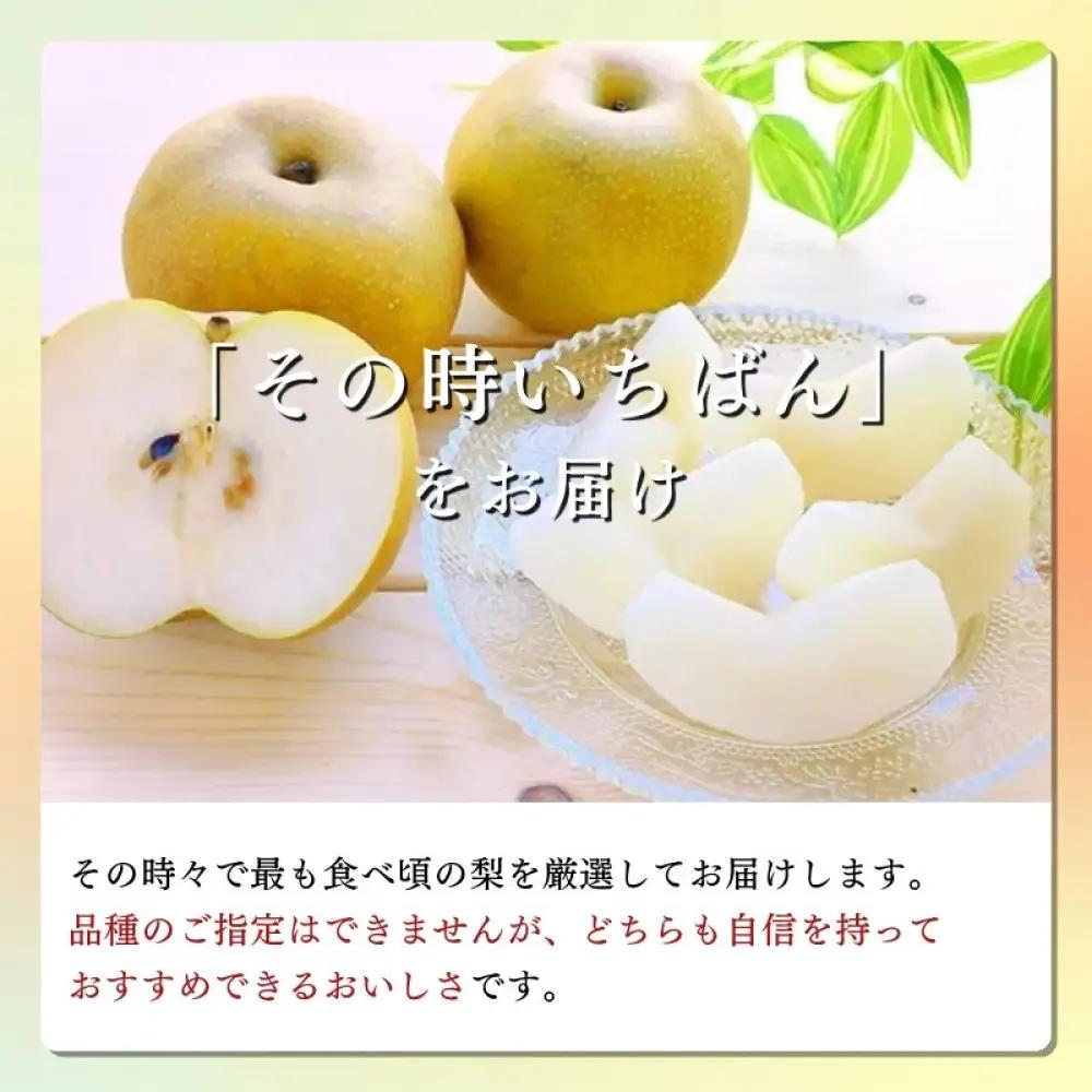 長野市産 梨 3kg（6～12玉）【2026年9月上旬以降発送予定】(さらしな青果) | 梨 フルーツ