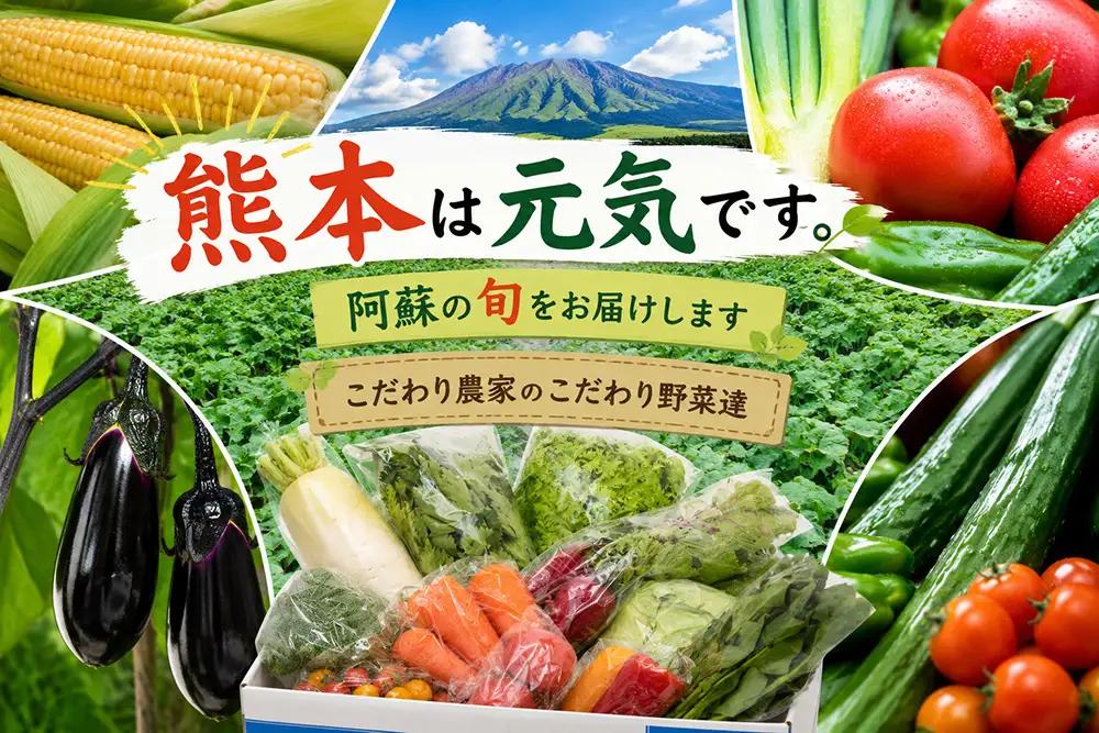 【阿蘇 郷乃舎】阿蘇高原 農家直送こだわり野菜と阿蘇特産品セット お野菜8~10品 ＋ASOMILK のむヨーグルト 野菜ソムリエ上級プロ厳選 ASOMILK のむヨーグルト 牛乳 阿蘇ミルク 阿部牧場 郷乃舎 新鮮 お野菜 産地直送 牧場直送 詰め合わせ お取り寄せ 熊本県 阿蘇市