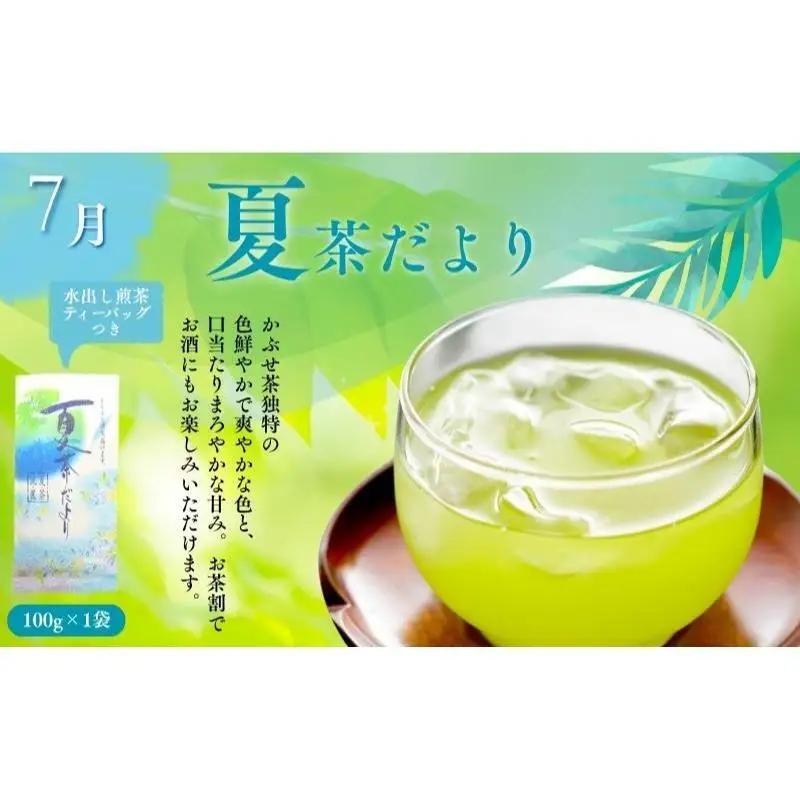 お茶 日本茶 専門店 定期便 おすすめ B お茶