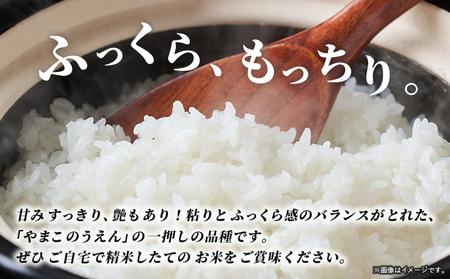 ＜令和7年産 ちほみのり 玄米 10kg＞げんまい 米 こめ コメ ご飯 穀物 10キロ 産地直送 愛媛県産 西予市産 特産品 やまこのうえん 愛媛県 西予市【常温】『2025年9月上旬より順次出荷予