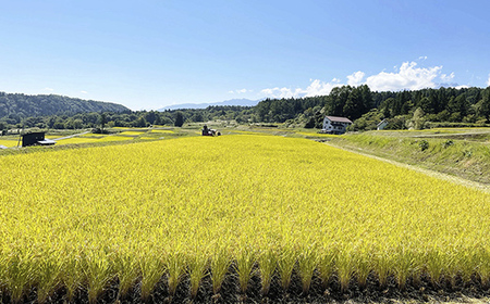 長野県小谷村百姓七人衆のあきたこまち　３kg