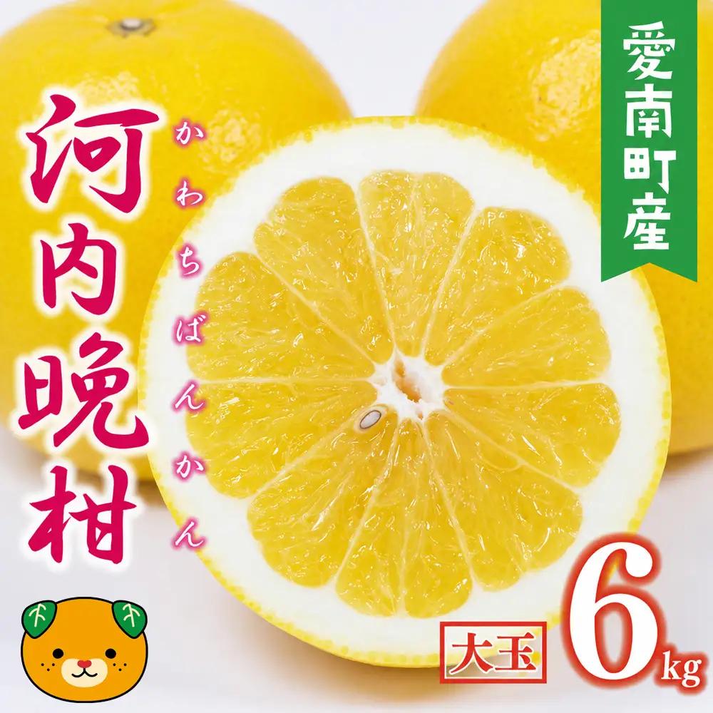 【数量限定】 河内晩柑 大玉 6kg みかんの山祥 河内晩柑