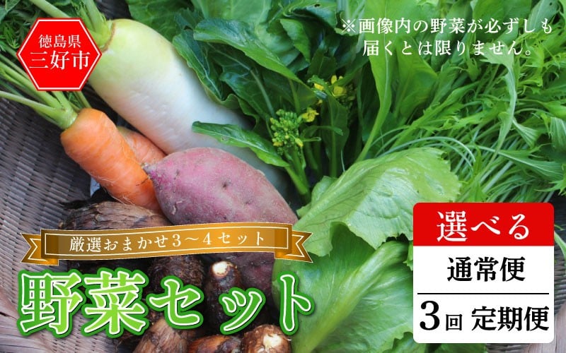 
            野菜 おまかせ セット 3～4種 旬の野菜 詰め合わせ 1回便 定期便 季節の野菜 旬野菜 やさい サラダ 鍋 煮物 おでん 野菜炒め 新鮮 徳島県産 食品 グルメ 贈り物 ギフト 送料無料 徳島県 三好市 みよし 篠原農園
          