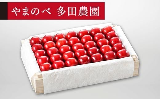 【特選「真夏のルビー紅姫」】桐箱詰 約700g【やまのべ多田耕太郎のさくらんぼ 多田農園】