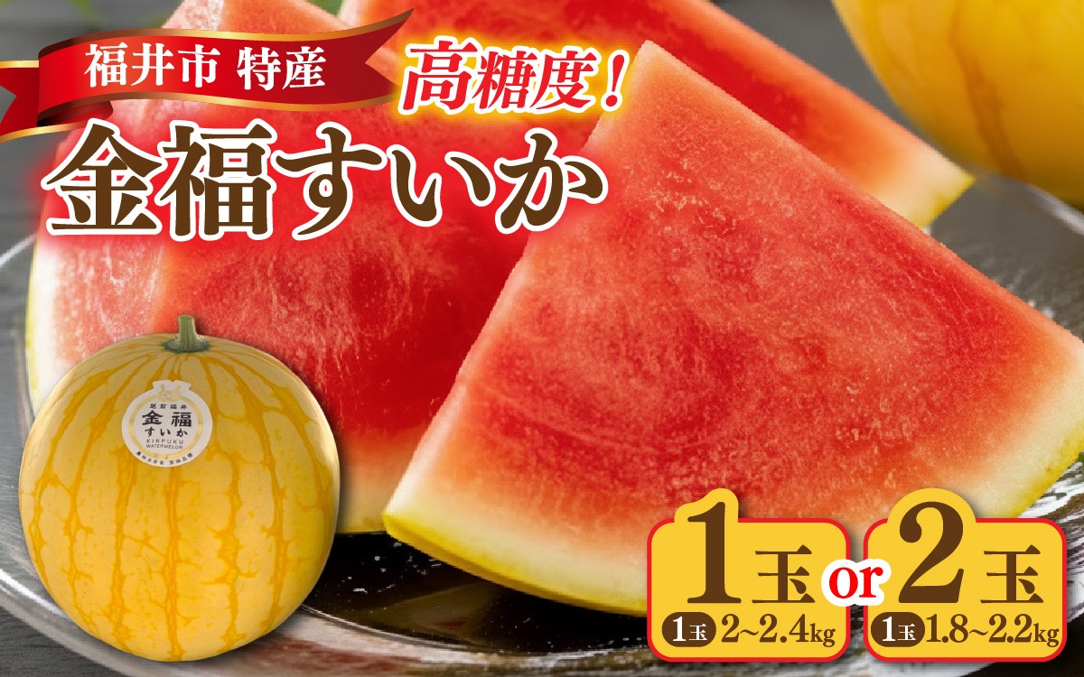 
                  種が無く高糖度【三里浜砂丘地産】福井市特産金福すいか 1玉 or 2玉 [A-180004-oya]  / スイカ 小玉 フルーツ 果肉 スイーツ 旬 福井 ふくい 果物 くだもの 1.8kg 2kg 2.2kg 2.4kg 糖度
                
