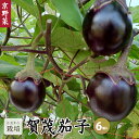 【ふるさと納税】【先行予約・配送月が選べる】賀茂茄子 6個 1.5kg 【 国産 京野菜 旬 季節の野菜 季節限定 野菜 茄子 なす ナス かもなす 賀茂なす 丹州 農家直送 産地直送 京ブランド野菜 綾部 京都 】