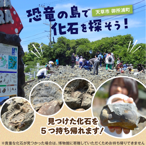 S174-004_化石ディグ利用券(4名様)