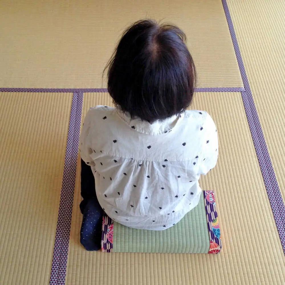 一畳屋 あぐら畳 座卓 枕 2枚セット まくら[AYAB004]