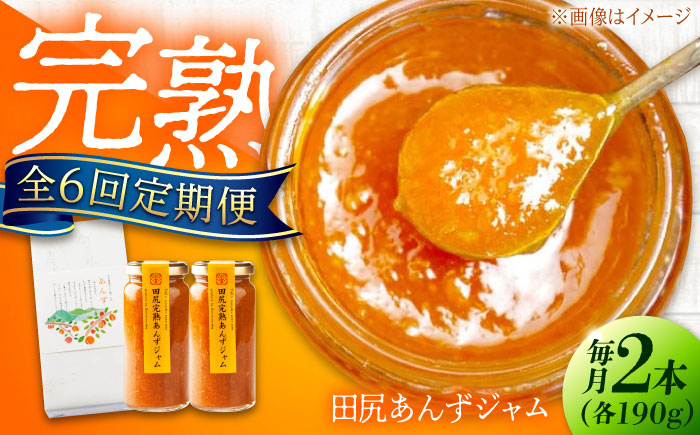 【全6回定期便】 ジャム 田尻完熟あんずジャム (2本)　ジャム 果物 あんず パン 甘い 菓子 朝ごはん 広島県福山市/有限会社勉強堂 [BAFL013]
