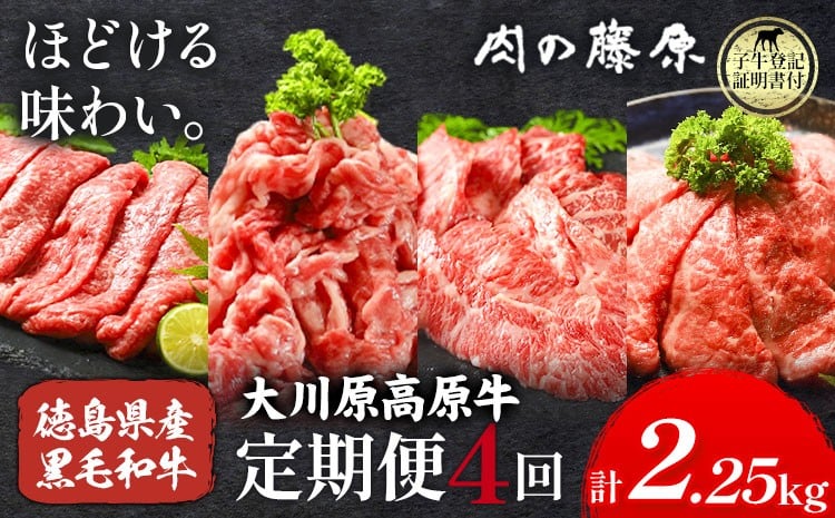 
            《定期便》全4回お届け！大川原高原牛 赤身定期便 (スライス・切り落とし・焼肉・しゃぶしゃぶ 各500gずつ) 株式会社肉の藤原 《お申込み月の翌月から出荷開始》牛肉 定期便 月1回 徳島県 佐那河内村 st-p
          