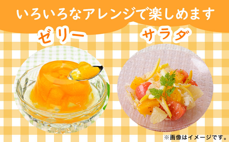 【先行予約】果肉プリプリ 完熟紀州デコ(不知火)  選べる 約5kg 果肉 デコ 魚鶴商店《2月下旬-3月中旬頃よりに発送予定》紀州デコ 和歌山県 日高町 贈り物 ギフト 不知火 デコポン と同品種(