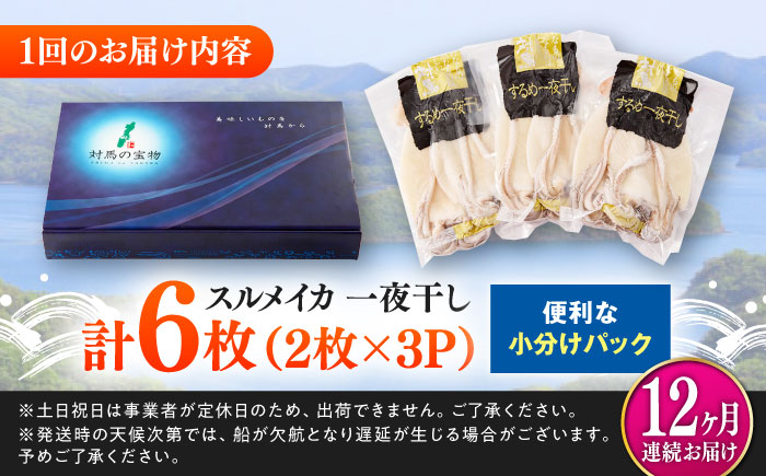 【全12回定期便】するめ いか 一夜干し セット《対馬市》【対馬地域商社】九州 長崎 海鮮 [WAC026]