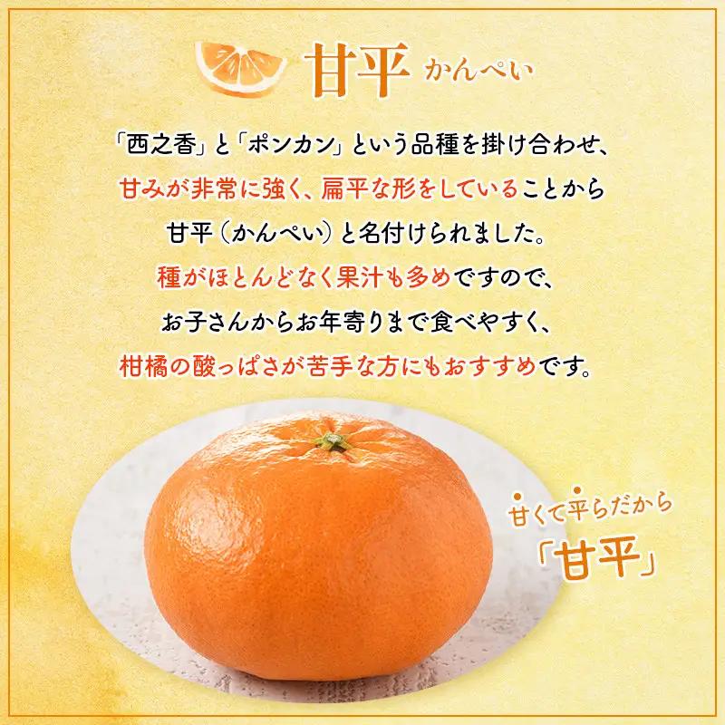 【先行予約】ホリ田ヤ 甘平 2.5キロ 【2027年2月中旬より順次発送】
