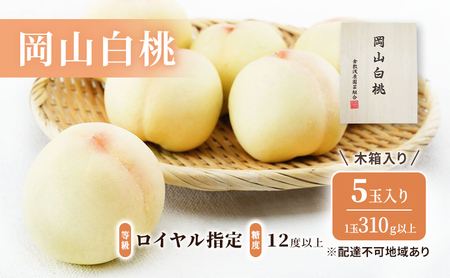 桃 2027年 先行予約 岡山 白桃 5玉（1玉310ｇ以上）等級：ロイヤル指定／糖度：12度以上 木箱入り