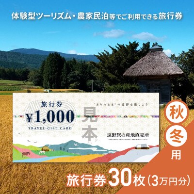 遠野旅の産地直売所 旅行券 30,000円分 秋冬用 岩手県 遠野市 ツアー 宿泊 体験 チケット【1506661】