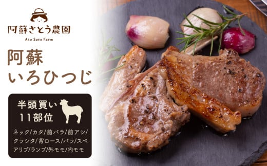 【ふるさと納税】阿蘇いろひつじ 半頭買い 11部位 羊肉 ラム肉  阿蘇さとう農園