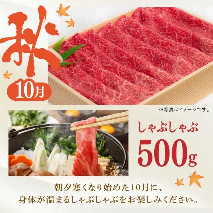 【全4回】 毎月お届けセット (アリ ) 500g×4回 [YA19] 肉 牛肉 ロース サーロインステーキ サーロインステーキ すき焼き シャブシャブ 焼肉 定期便