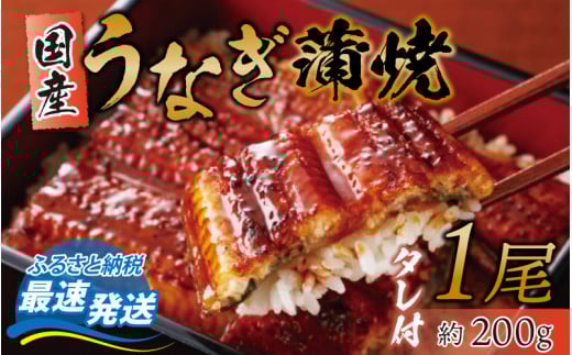 【冷蔵でお届け】 国産 うなぎ 蒲焼 1尾 約 200g タレ 付