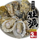 【ふるさと納税】【期間限定発送】【数量限定！】雲仙産 牡蠣 大サイズ 3kg 加熱用・殻付き [ふるさと企画 長崎県 雲仙市 item2008] カキ かき 殻付 3キロ 冷蔵 カンカン焼き 季節限定