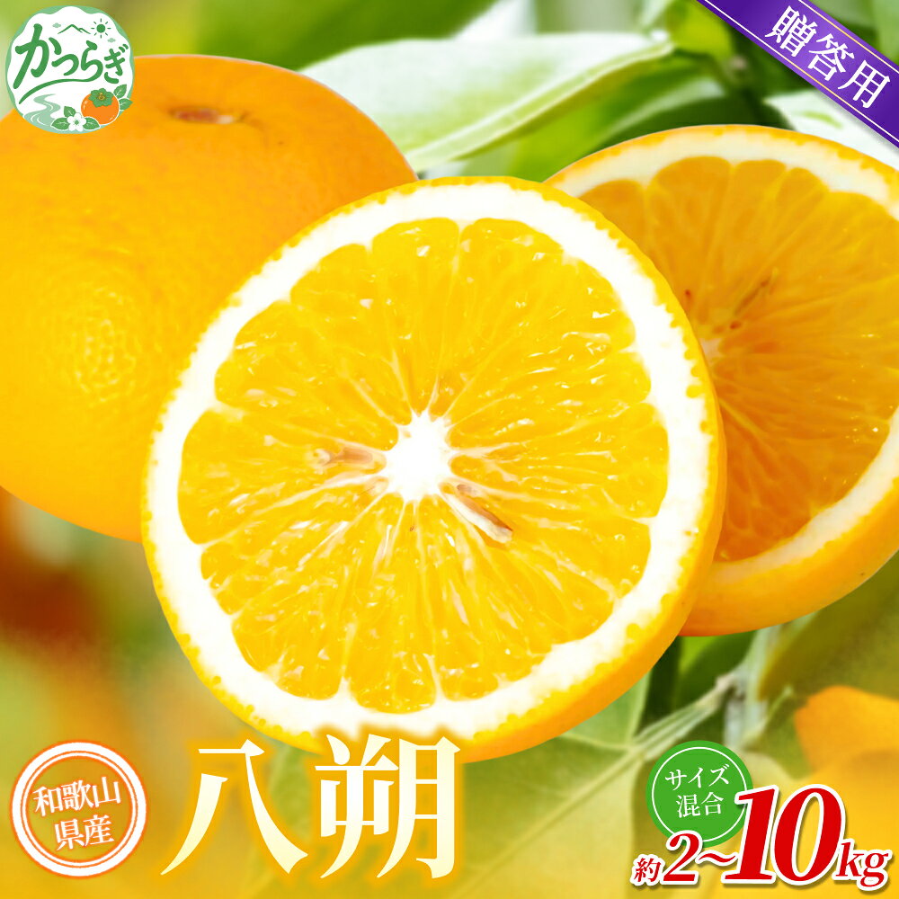 【ふるさと納税】【贈答用】 森本農園の手選別 八朔 約2kg 5kg 10kg 和歌山県産 サイズ混合 【北海道・沖縄・離島配送不可】【2027年1月中旬～4月中旬頃に順次発送】 はっさく