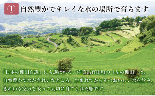 【人気！豚肉5種セット】ありたぶた バラエティBセット (豚