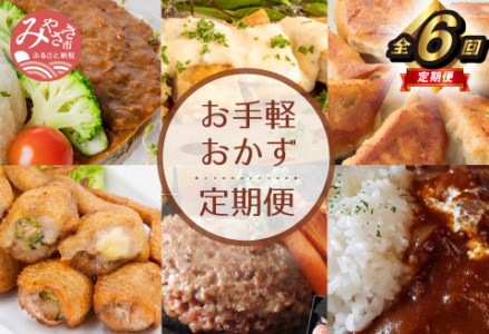 定期便 お手軽おかず 6回 お届け （てまごこちカレーセット 5袋・チキン南蛮10枚食べ比べセット・市場で製造直売の餃子・手羽三昧3種セット・宮崎牛ハンバーグ 5個・復刻ハヤシ 6袋）