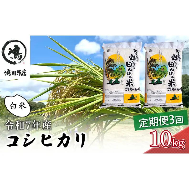 コシヒカリ 白米 令和7年 千葉県産 コシヒカリ【10kg(5kg×2)×3ヶ月】【定期便】