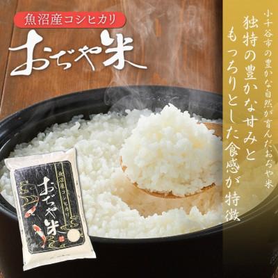 ふるさと納税 小千谷市 令和7年産 魚沼産コシヒカリ ブランド認証米「錦の実り」特Aランクとおぢや米 食べ比べ10kg 精米 |  | 01