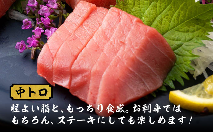 【全6回定期便】対馬産 本マグロ 500g（赤身300g、中トロ200g） ≪対馬市≫【桐谷商店】 トロの華 対馬 新鮮 マグロ トロ 鮪 刺身 鮮度抜群 [WAQ045]
