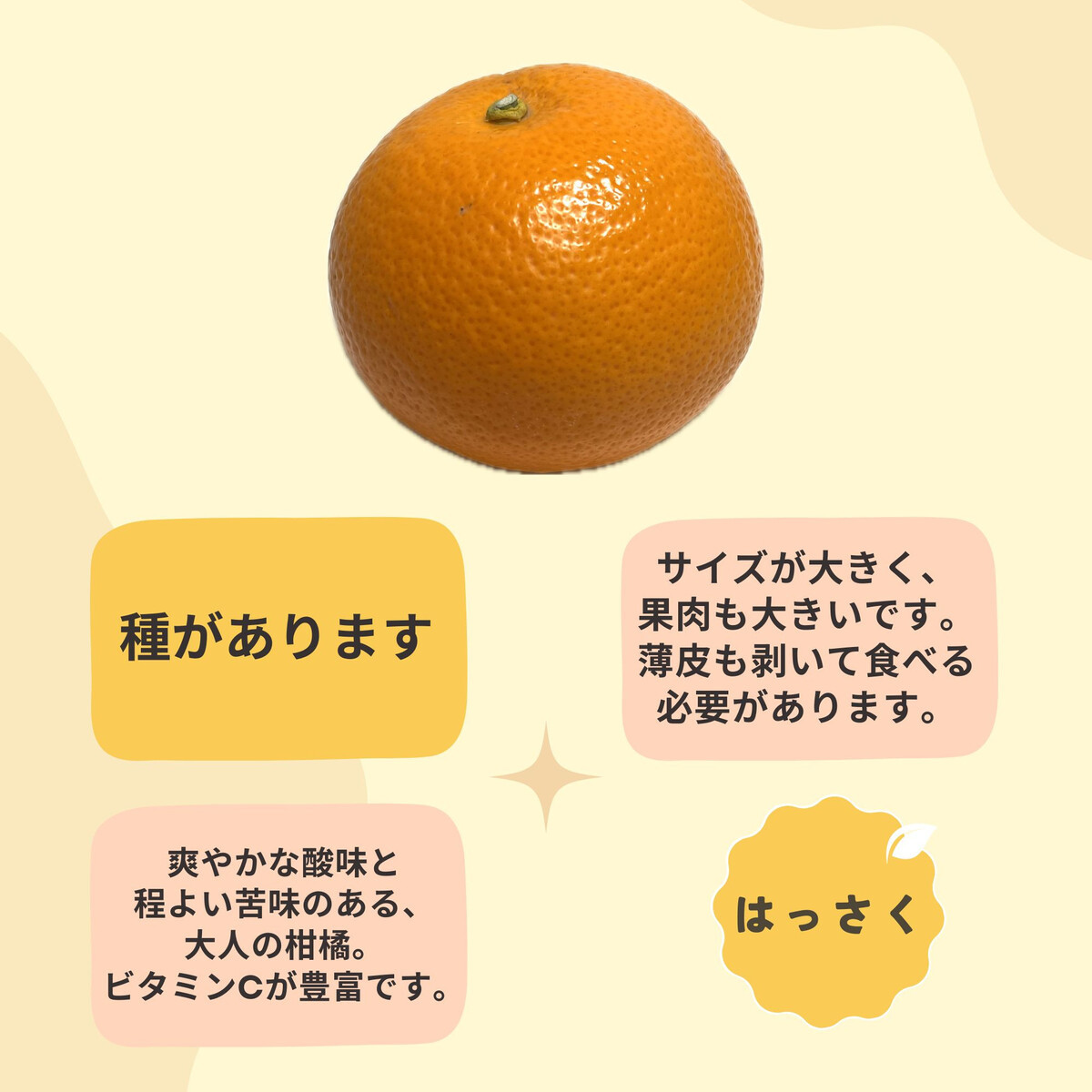和歌山 有田 はっさく 5kg DJ065_イメージ2