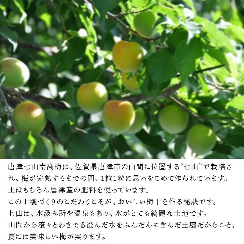 唐津市七山南高梅 減塩しそ梅 (500g☓1) 梅干し