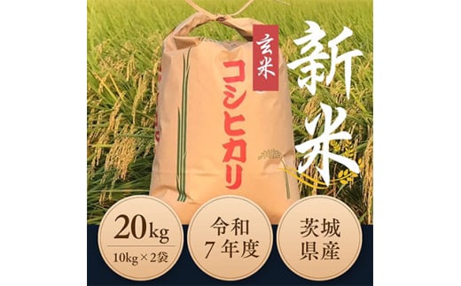 令和7年度　ひたちなか市産コシヒカリ玄米20kg(10kg×2袋)【1528798】