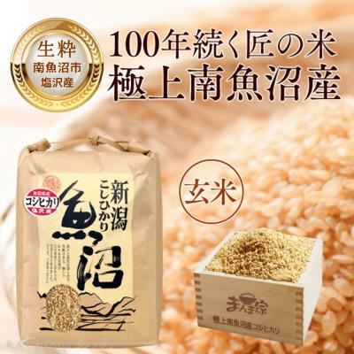 ふるさと納税 南魚沼市 【毎月定期便】南魚沼産コシヒカリ(塩沢産)玄米5kg全12回