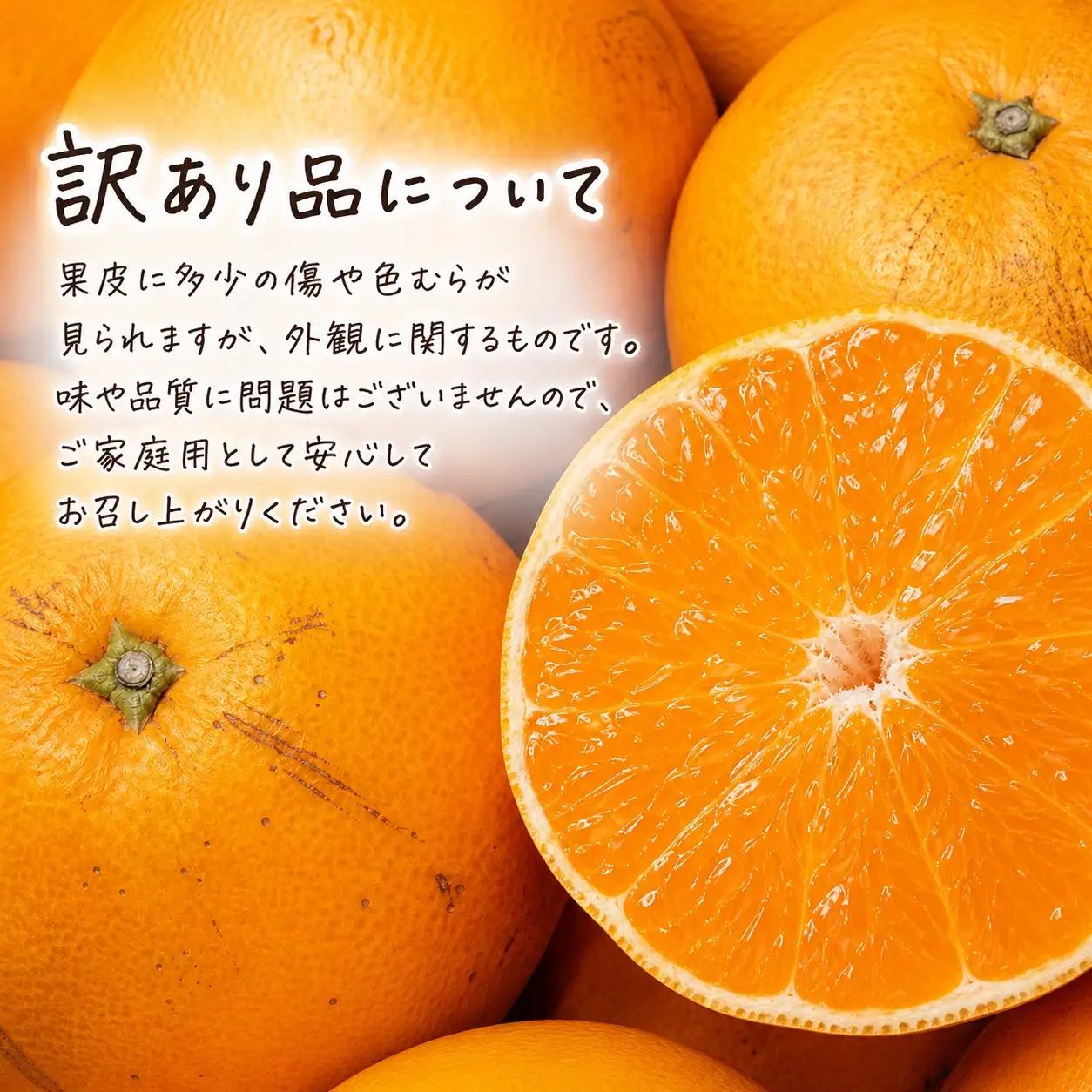 【ご家庭用訳あり】紀州和歌山産　せとか　約５ｋｇ　【先行予約】【みかん】 ※2027年2月中旬頃〜3月中旬頃発送予定（お届け日指定不可） 【uot748B】