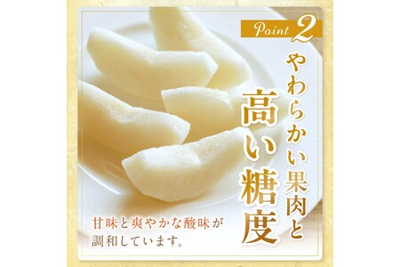 【先行予約／数量限定150】京丹後産 新興梨 5kg（8～14玉入り）（2024年10月中旬～発送）