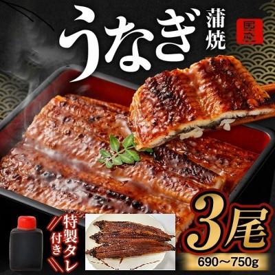 ふるさと納税 阪南市 【発送月固定定期便】【はんなん旨いもん】定期便(鯛めし・うなぎ蒲焼・たこ飯・かにしゃぶ)【4】全4回 |  | 01