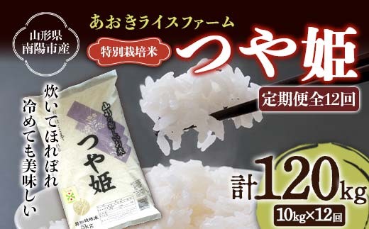 【金賞受賞農家】 《定期便12回》 令和7年産 特別栽培米 つや姫 計10kg(5kg×2袋)×12か月 『あおきライスファーム』 山形南陽産 米 白米 精米 ご飯 農家直送 山形県 南陽市 [2415]