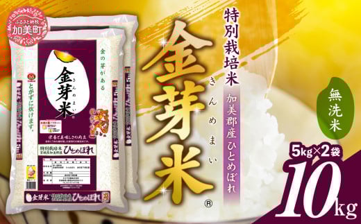 無洗米 令和6年 宮城県加美産 金芽米 ひとめぼれ 特別栽培米 10kg  ( 5kg × 2袋 ) カブアンド  プレゼント [ 宮城県 加美町 ]   km00016-r6-10kg