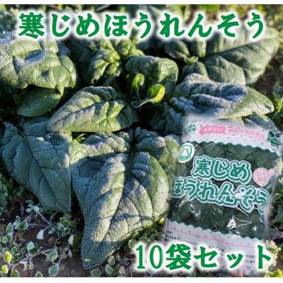 ふるさと納税 普代村 【先行受付】 寒じめほうれんそう 約210g×10袋 【11月下旬頃〜2月下旬発送予定】 野菜