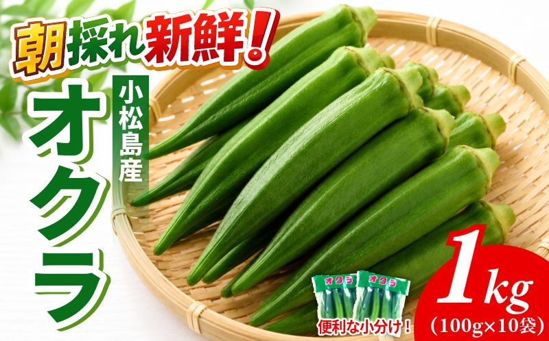 【6月下旬から発送】オクラ 1kg 新鮮 朝採れ 選べる 容量 小分け おくら 朝どれ 野菜 夏 夏野菜 旬 サラダ 冷蔵 農地直送 国産 小松島市