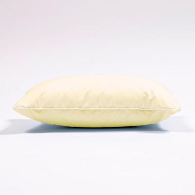 ふるさと納税 西郷村 羽毛たっぷりで快適リラックスタイム!フェザークッション30(30×20cm) |  | 01