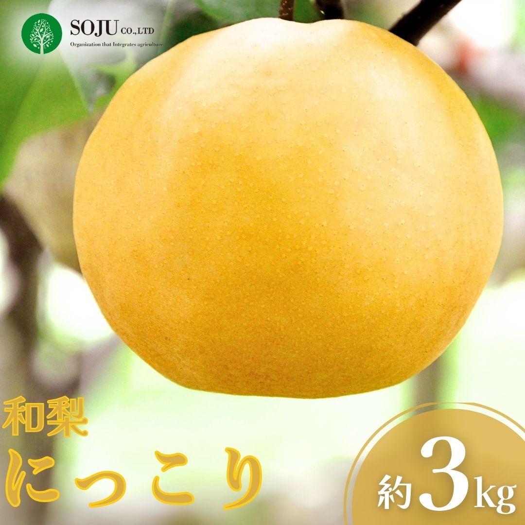 【ふるさと納税】和梨 にっこり 約3kg 贈答用 令和8年度 にっこり梨 新潟県 三条市産 [三条果樹専門家集団]【010S868】