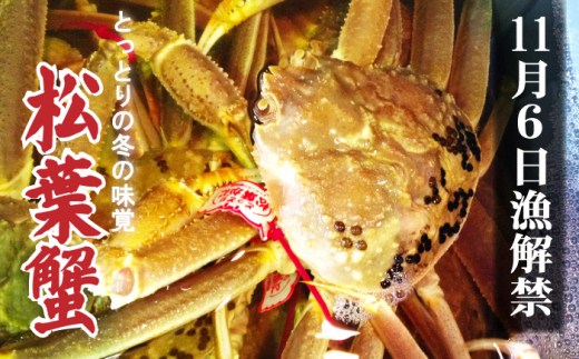 【魚倉】ボイル若松葉ガニ 4尾分8肩（足１から２本なし含む） 松葉ガニ カニ ズワイガニ ボイル 冷蔵 カニ爪 かにしゃぶ カニ刺身 ずわいがに 鮮度抜群 国産 高級 足欠け 足かけ 鳥取県 倉吉市