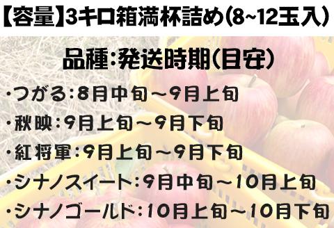 『予約受付』【令和6年8月中旬発送】厳選 九州旬のりんご 3キロ箱(8～12玉入) 九州 リンゴ 林檎 フルーツ 果物 つるが 秋映 紅将軍 シナノスイート シナノゴールド 3kg