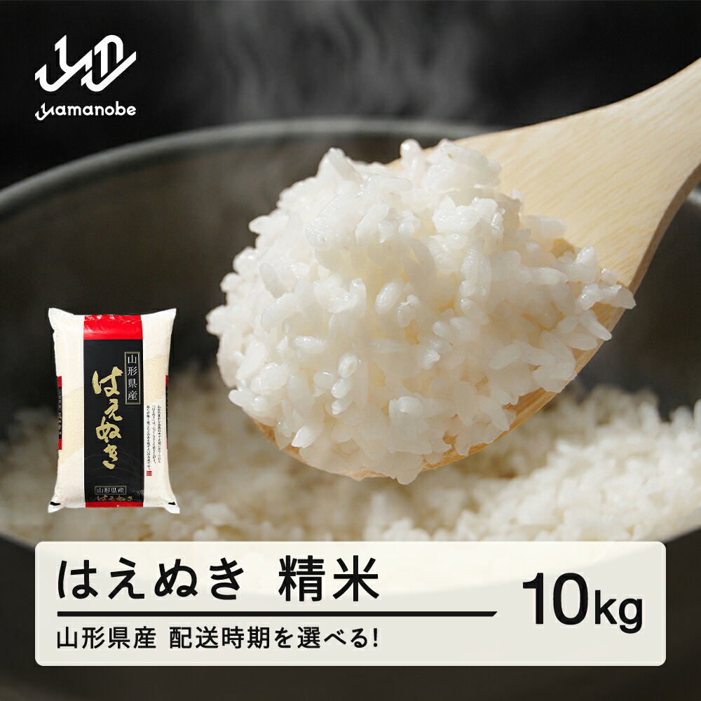 【ふるさと納税】米 はえぬき 精米 10kg 令和7年産 2025年産 山形県産 送料無料 tf-hasxb10
