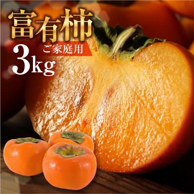 ふるさと納税 本巣市 《訳あり》富有柿 3kg　福井農園(10〜12個入り)　不揃い